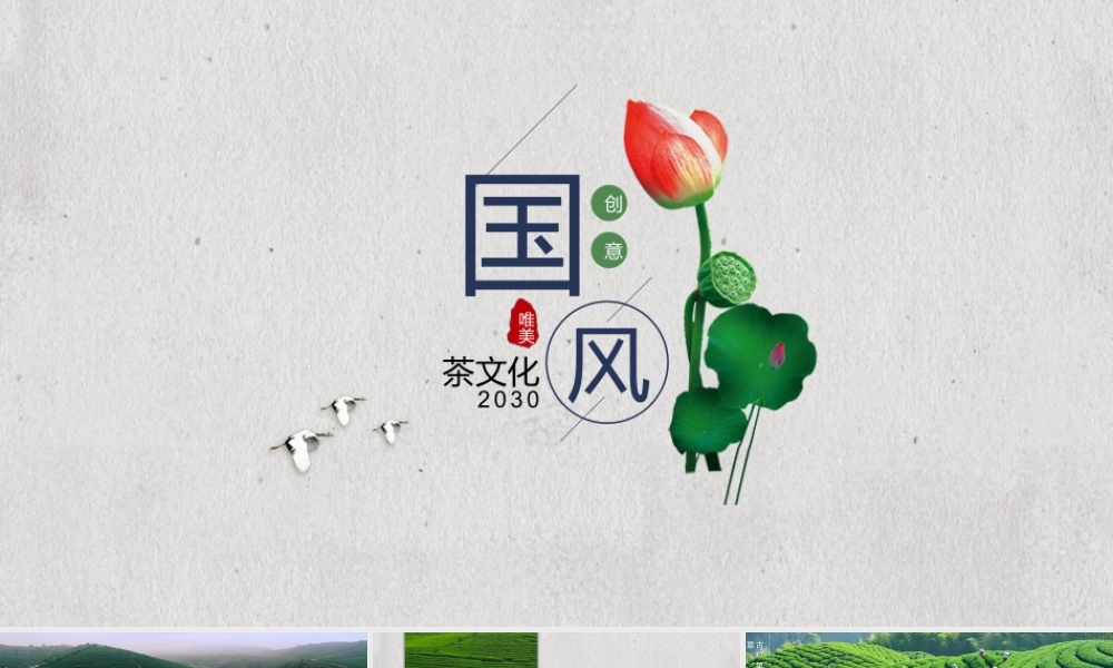 荷花荷叶莲蓬背景的国风茶文化主题.pptx