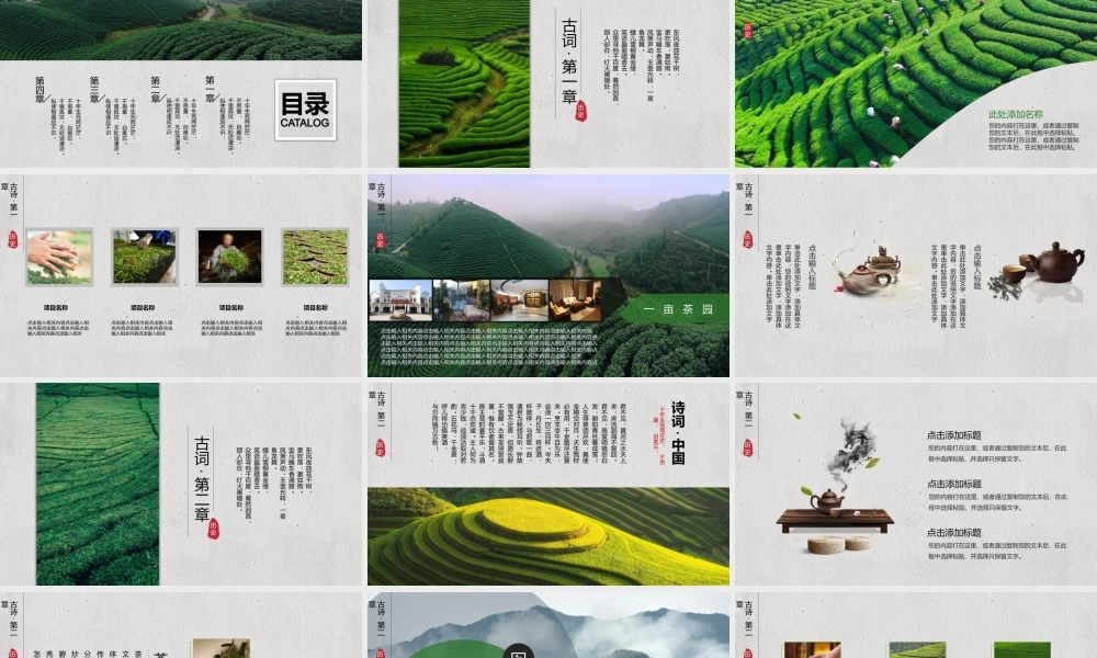 荷花荷叶莲蓬背景的国风茶文化主题.pptx