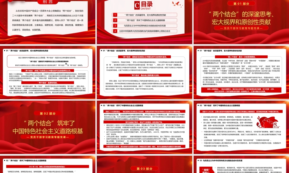 两个结合的丰富内涵和内在机理.pptx