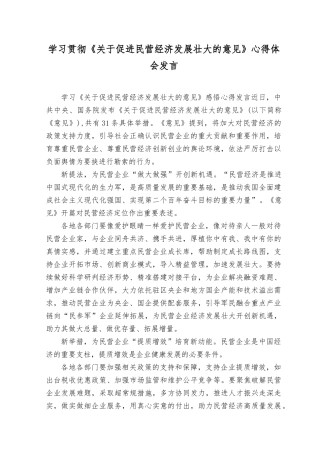 （6篇）2023年学习《关于促进民营经济发展壮大的意见》心得体会发言.docx