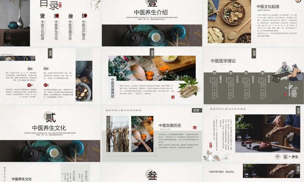 传统中国风中医养生介绍.pptx