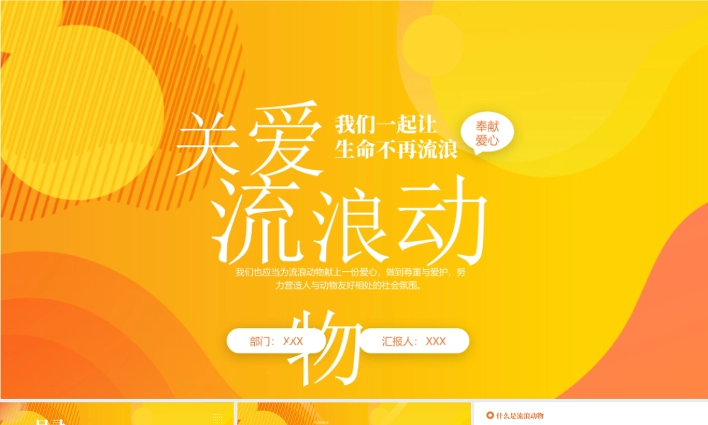 关爱流浪动物PPT让生命不在流浪PPT课件（带内容）.pptx
