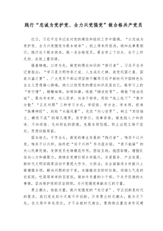 (5篇）2023年“忠诚为党护党、全力兴党强党”学习心得体会研讨发言材料.docx