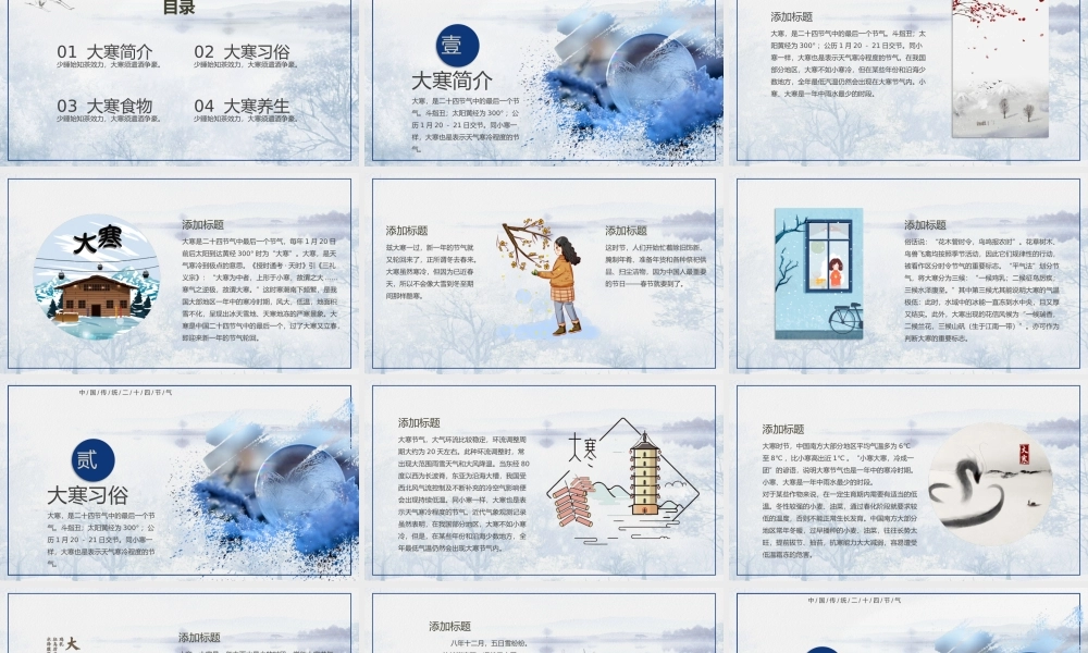白色冰雪世界背景的大寒节气介绍PPT.pptx