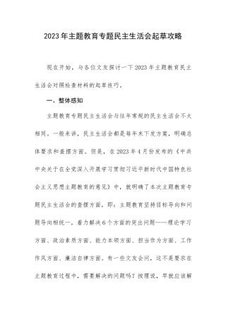 2023年专题教育专题生活会起草攻略.docx