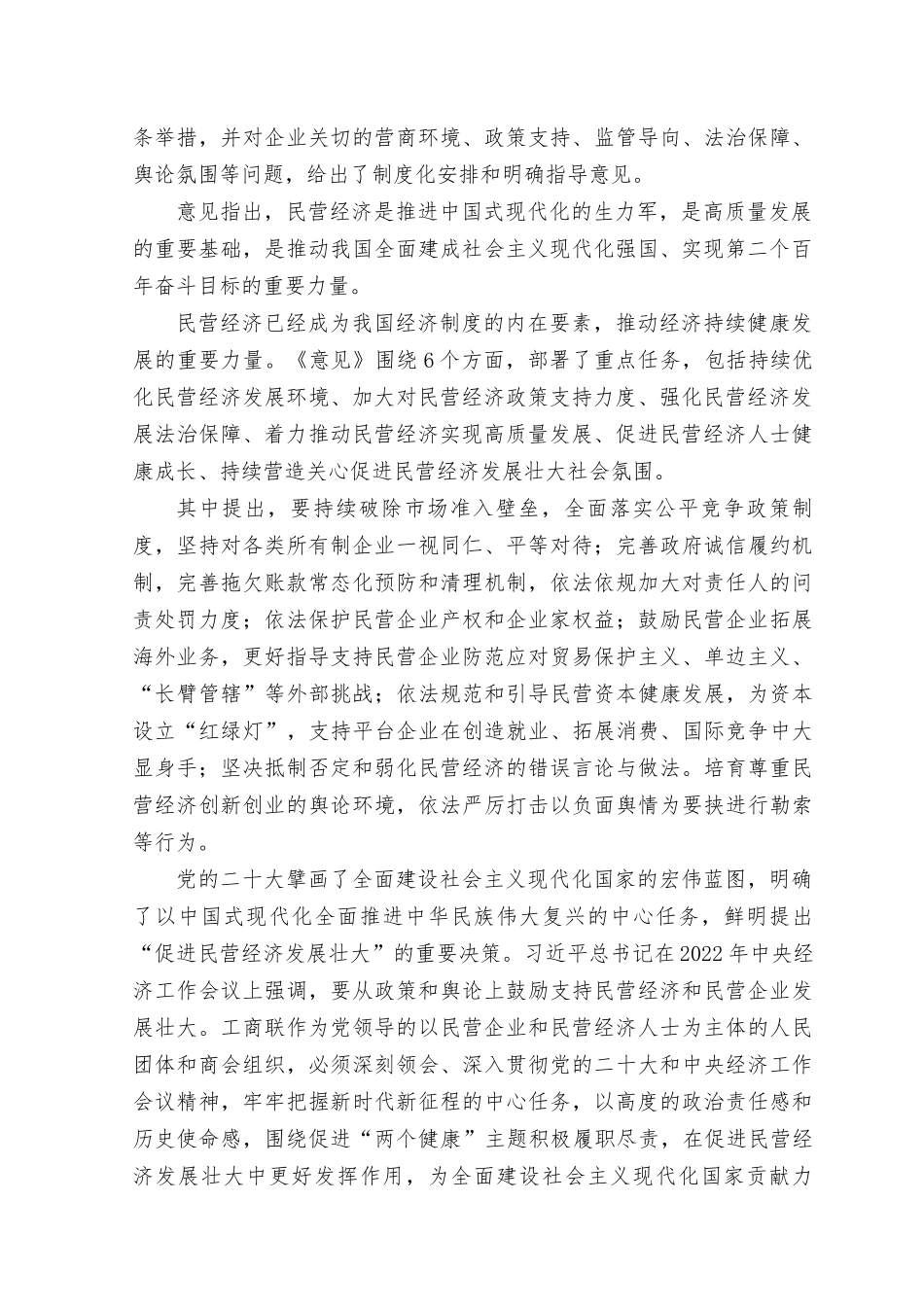 （12篇）2023年《关于实施促进民营经济发展近期若干举措》心得体会发言稿.docx_第3页
