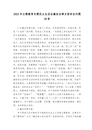 2023年主题教育专题民主生活会“廉洁自律”方面个人查摆存在问题20条.docx