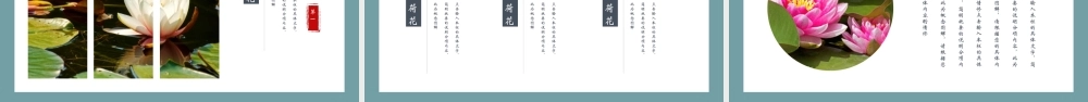 精美荷花背景的夏荷.pptx