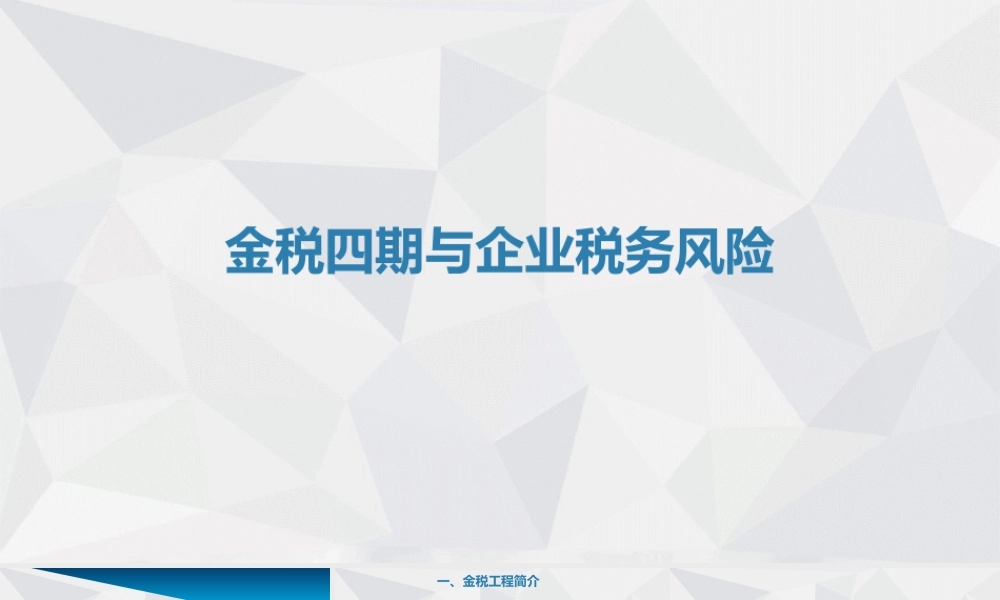 金税四期与企业税务风险培训.pptx
