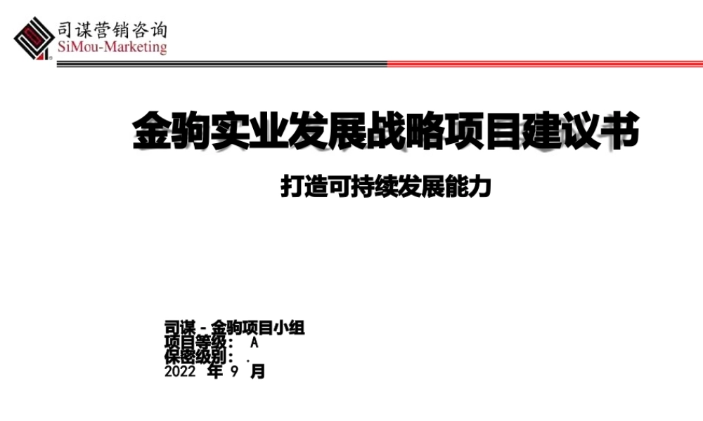 实业发展战略项目建议书.pptx