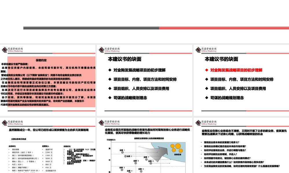 实业发展战略项目建议书.pptx