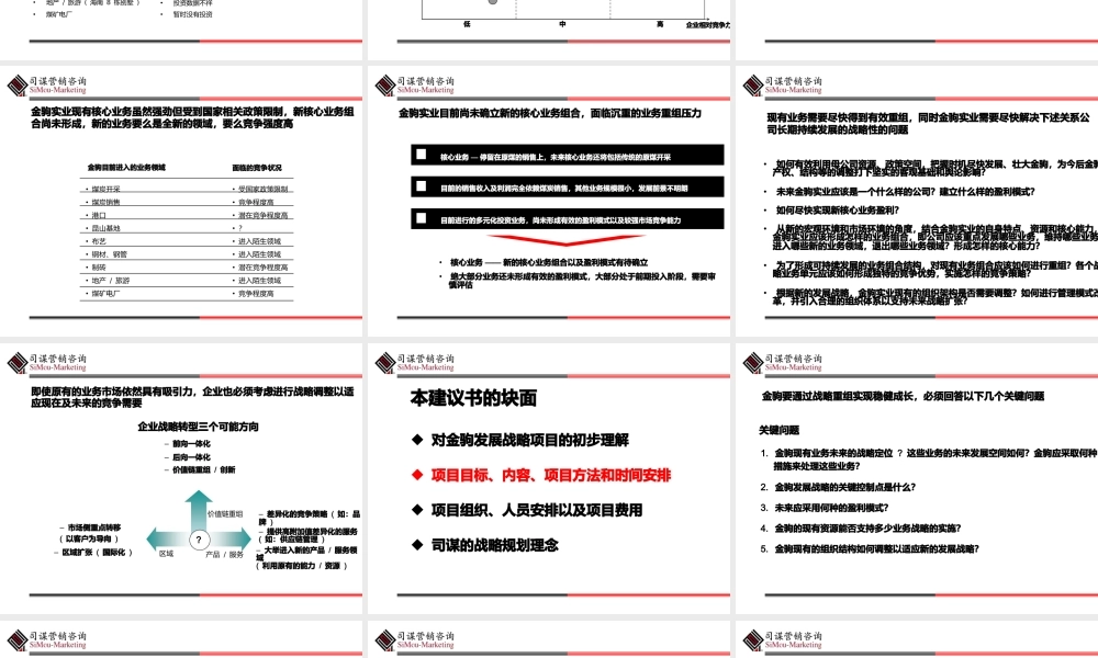 实业发展战略项目建议书.pptx
