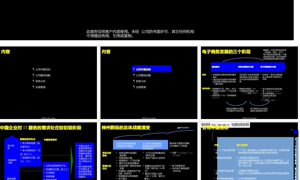 数码公司发展战略咨询报告.pptx