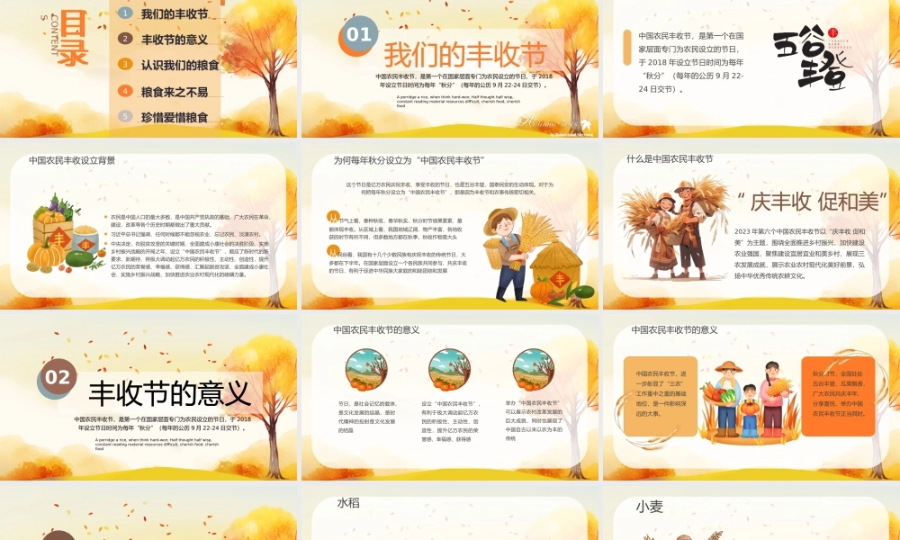 中国农民丰收节主题班会PPT丰收为实硕果为佳PPT珍惜粮食PPT课件（带内容）.pptx
