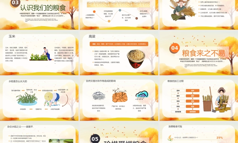 中国农民丰收节主题班会PPT丰收为实硕果为佳PPT珍惜粮食PPT课件（带内容）.pptx
