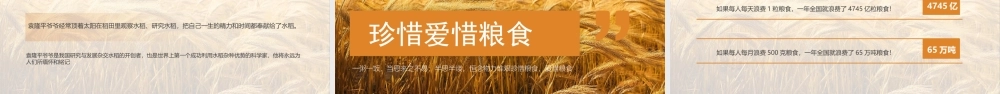 2023中国农民丰收节主题班会PPT丰收为实硕果为佳PPT课件（带内容）.pptx