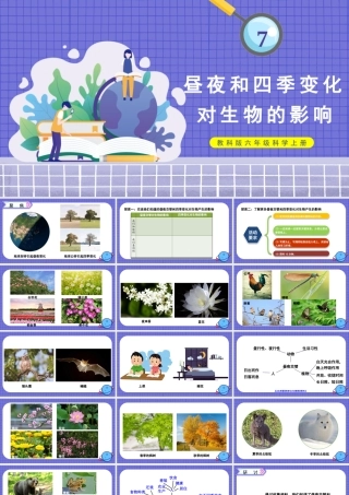 教科版六年级上册科学第2单元第7课 昼夜和四季变化对生物的影响 课件（ppt教学）.pptx