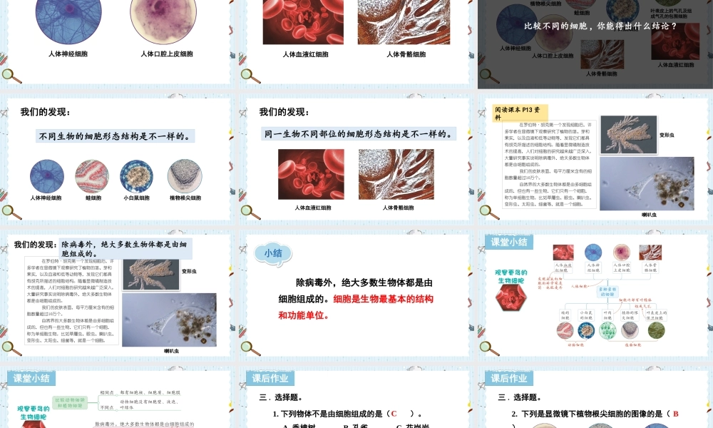 教科版六年级上册科学第1单元第5课 观察更多的生物细胞 课件（ppt教学）.pptx
