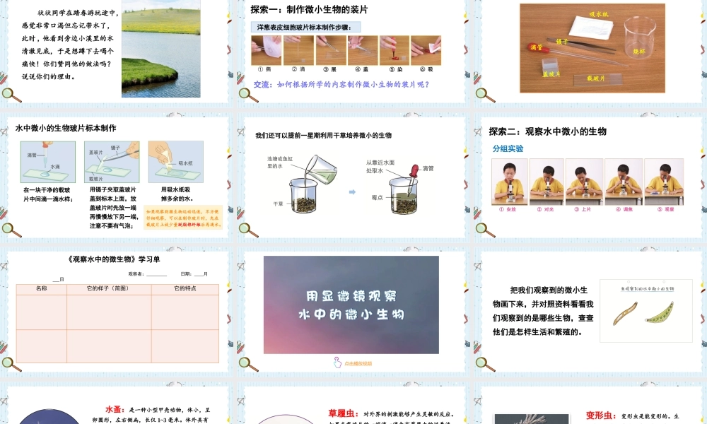 教科版六年级上册科学第1单元第6课 观察水中微小得生物 课件（ppt教学）.pptx