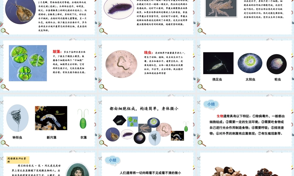 教科版六年级上册科学第1单元第6课 观察水中微小得生物 课件（ppt教学）.pptx