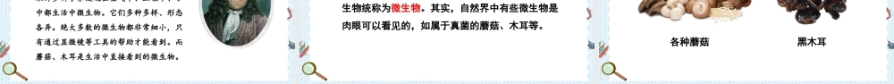 教科版六年级上册科学第1单元第6课 观察水中微小得生物 课件（ppt教学）.pptx