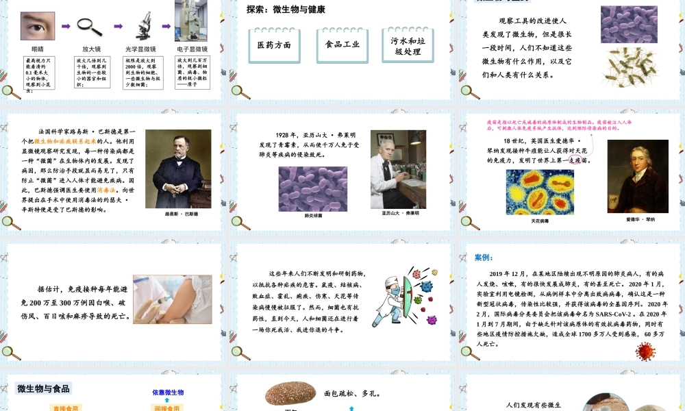 教科版六年级上册科学第1单元第7课 微生物与健康 课件（ppt教学）.pptx