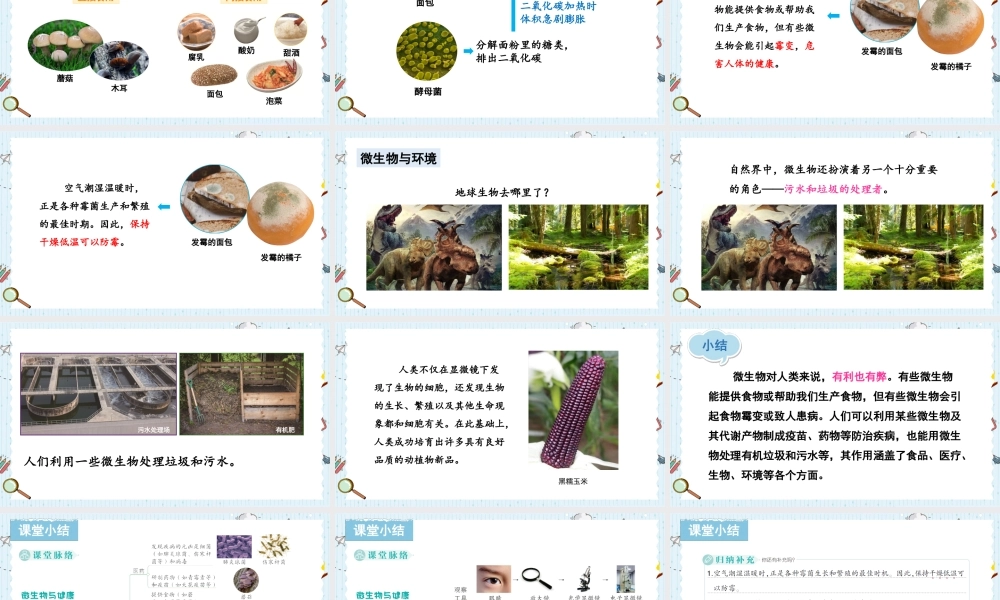 教科版六年级上册科学第1单元第7课 微生物与健康 课件（ppt教学）.pptx