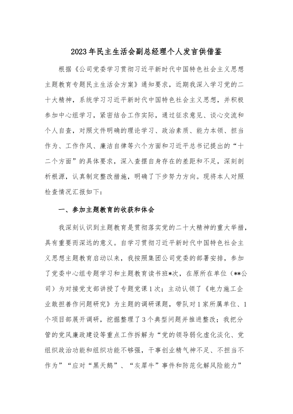 2023年民主生活会副总经理个人发言供借鉴.docx_第1页