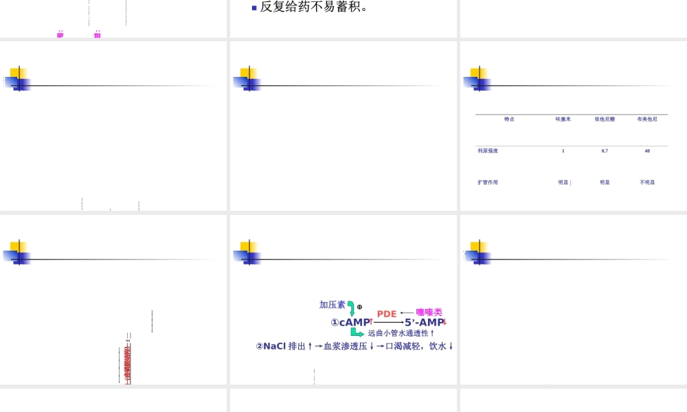 利尿剂临床使用【PPT课件】.PPT