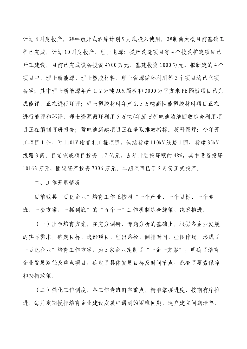 百亿企业培育调研报告.docx_第2页