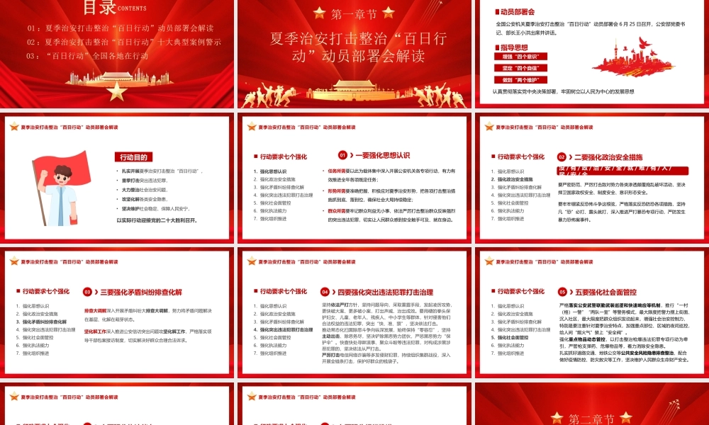 夏季治安打击整治“百日行动”十大典型案例警示PPT课件（带内容）.pptx