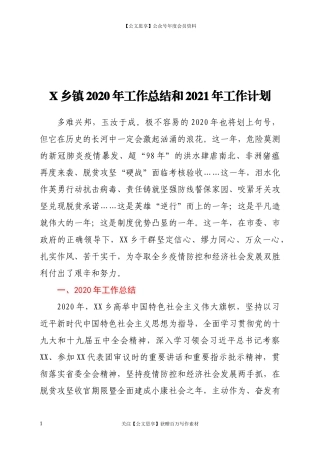 20114X乡镇2020年工作总结和2021年工作计划.docx