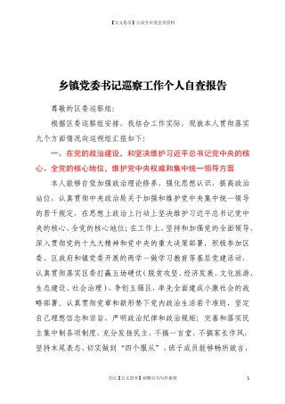 20223乡镇党委书记巡察工作个人自查报告.doc