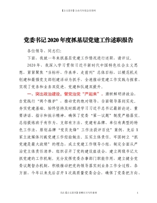 20263党委书记2020年度基层党建工作述职报告.doc