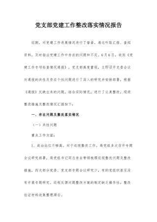 党支部党建工作整改落实情况报告.docx