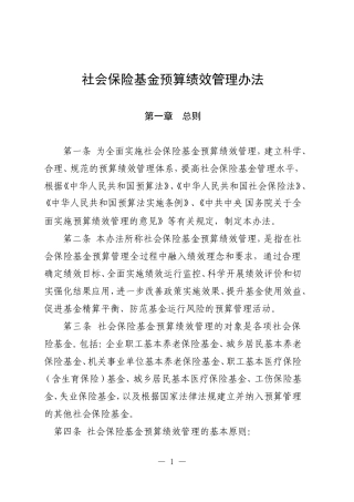 社会保险基金预算绩效管理办法.doc