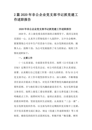 2篇2020年非公企业党支部书记抓党建工作述职报告.docx