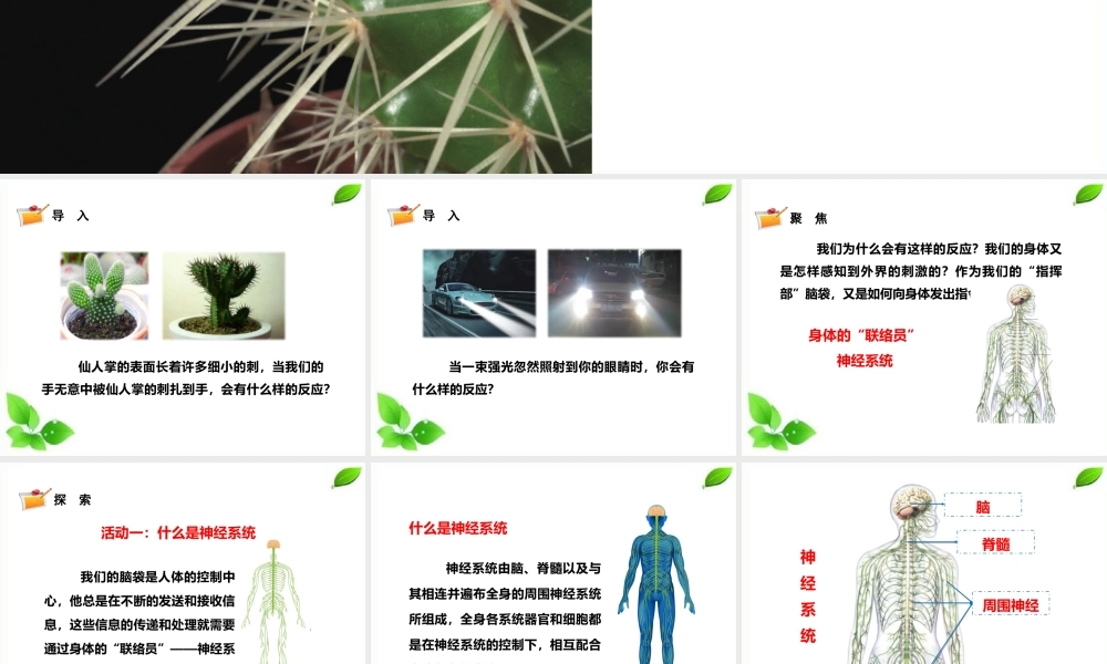 2021新教科版科学五年级上册4.5.身体的“联络员”课件.pptx