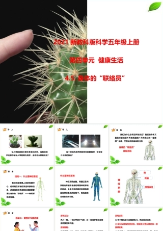 2021新教科版科学五年级上册4.5.身体的“联络员”课件.pptx
