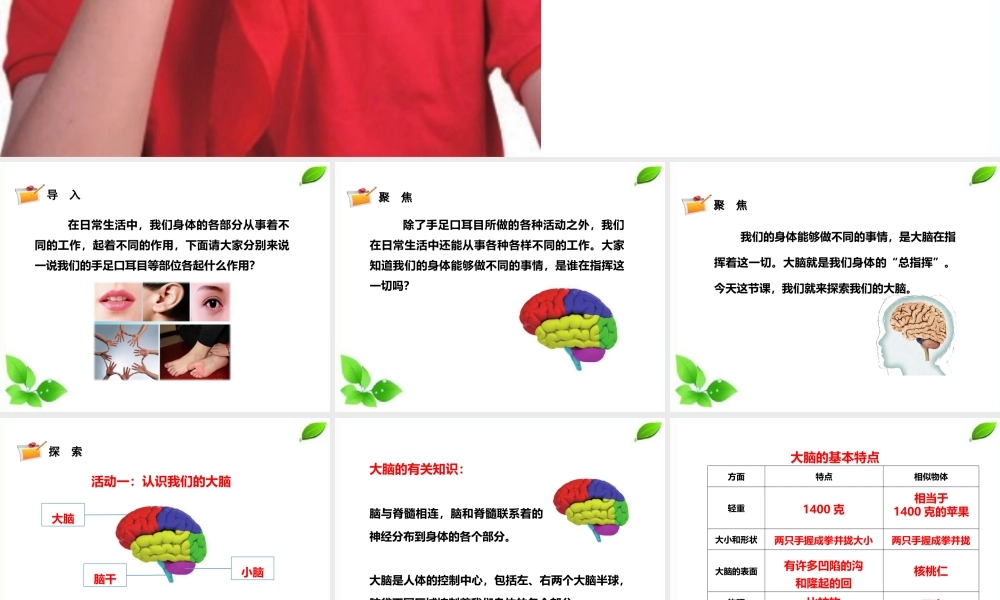 2021新教科版科学五年级上册4.4.身体的“总指挥”课件.pptx