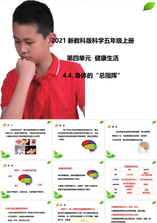 2021新教科版科学五年级上册4.4.身体的“总指挥”课件.pptx