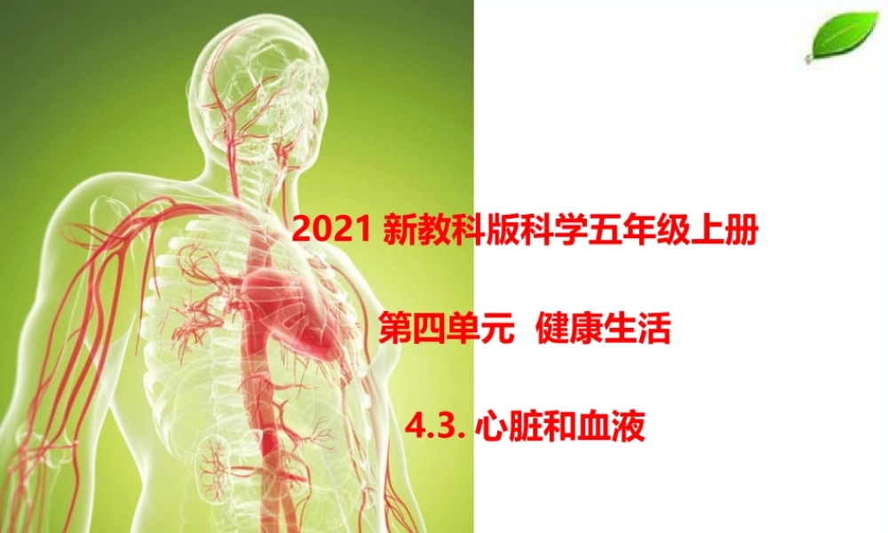 2021新教科版科学五年级上册4.3.心脏和血液课件.pptx