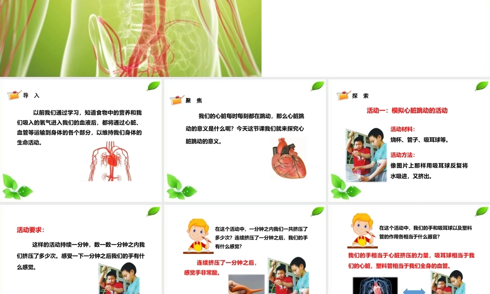2021新教科版科学五年级上册4.3.心脏和血液课件.pptx
