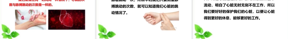 2021新教科版科学五年级上册4.3.心脏和血液课件.pptx