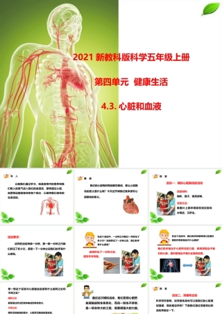 2021新教科版科学五年级上册4.3.心脏和血液课件.pptx