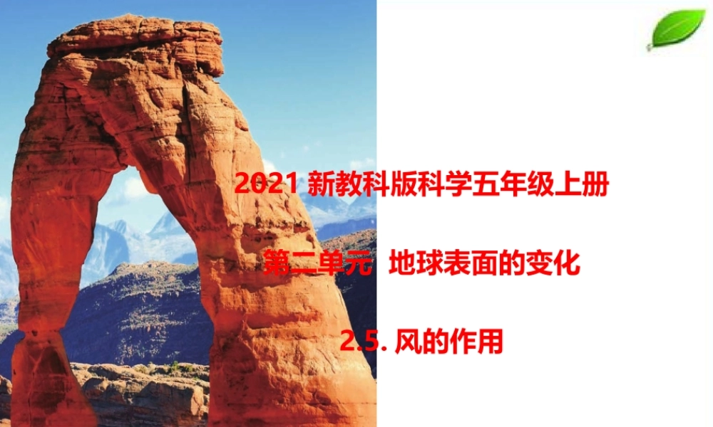 2021新教科版科学五年级上册2.5.风的作用课件.pptx