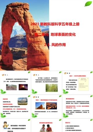 2021新教科版科学五年级上册2.5.风的作用课件.pptx