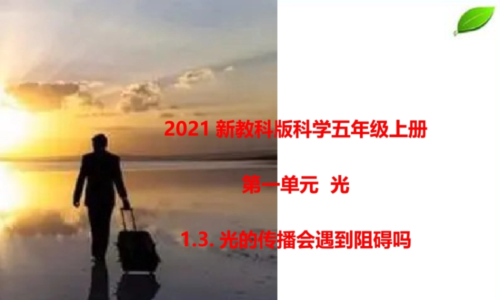 2021新教科版科学五年级上册1.3.光的传播会遇到阻碍吗课件.pptx
