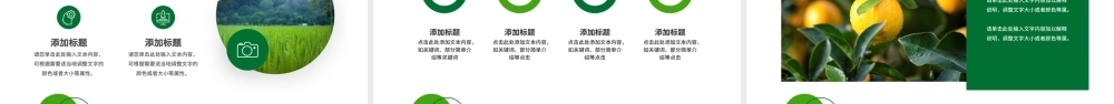 绿色简约风大学生暑假三下乡社会实践PPT模板.pptx