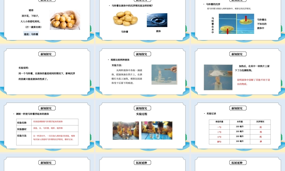 教科版五年级科学下册第一单元《沉和浮-马铃薯在液体中的沉浮》PPT课件.pptx